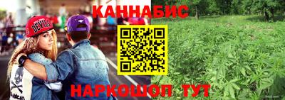 гидропоника Свободный