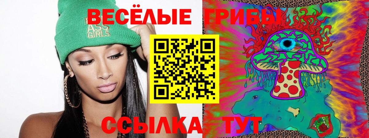 Галлюциногенные грибы Magic Shrooms  Галлюциногенные грибы Psilocybine cubensis  Прохладный  Вход с VPN 