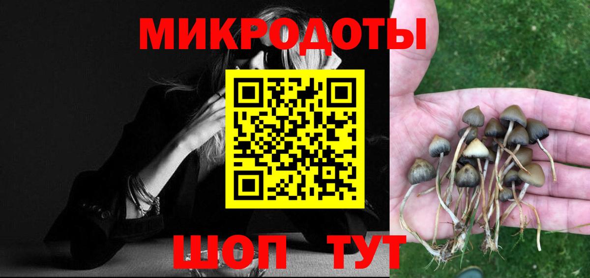 Галлюциногенные грибы мицелий Прохладный
